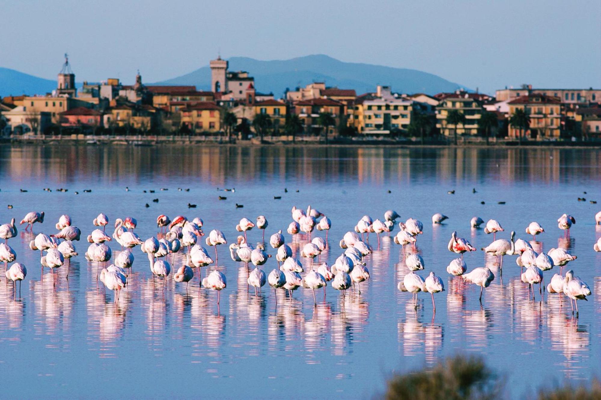 Park Hotel Residence Orbetello Exterior photo